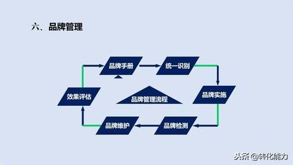 品牌 从定义到实战——品牌策划、管理与运营的全维度指南
