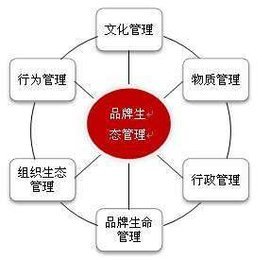 品牌生态管理 超越传统品牌管理的进化之路